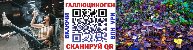 гидра зеркало  Камень-на-Оби  Псилоцибиновые грибы Cubensis  цены наркотик 