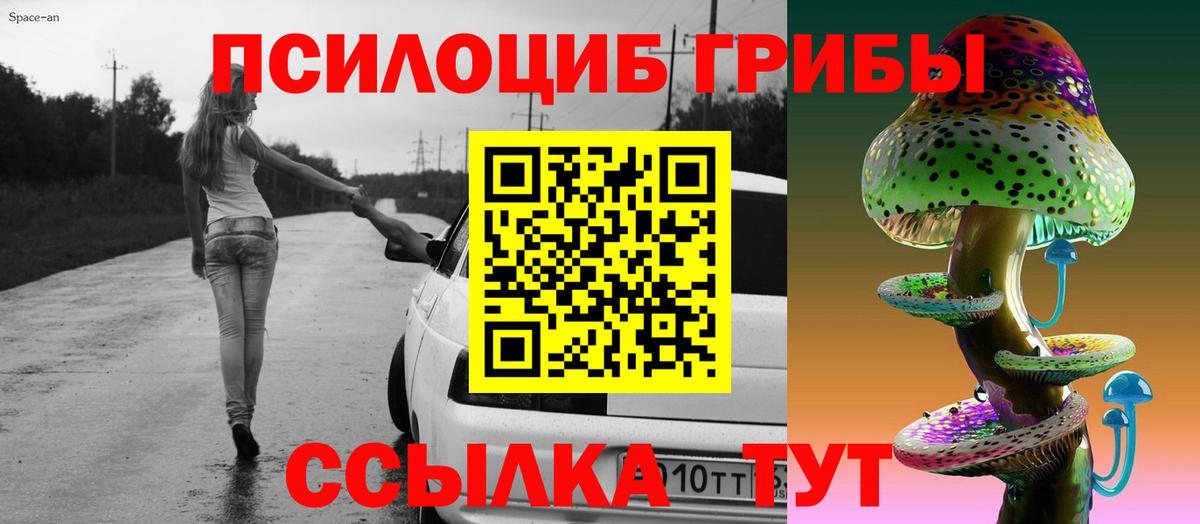 Галлюциногенные грибы MAGIC MUSHROOMS  Вход с VPN  где купить наркоту  Камень-на-Оби 